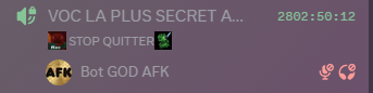 Durée de présence vocale Discord